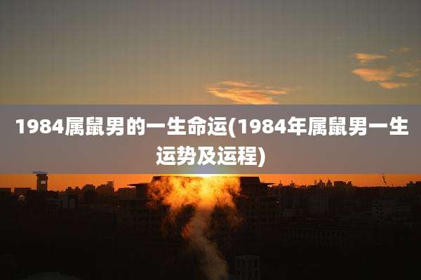1984属鼠男的一生命运(1984年属鼠男一生运势及运程)