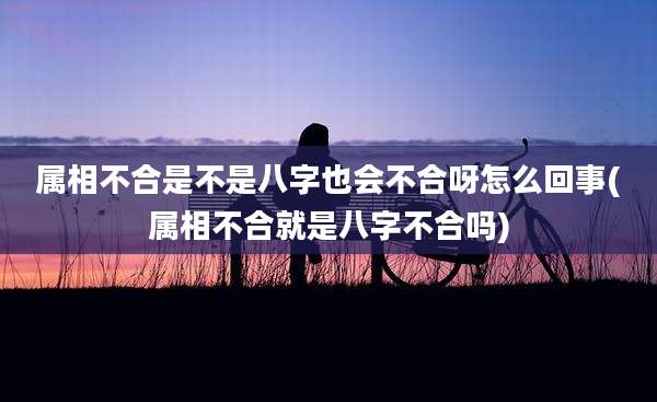 属相不合是不是八字也会不合呀怎么回事(属相不合就是八字不合吗)