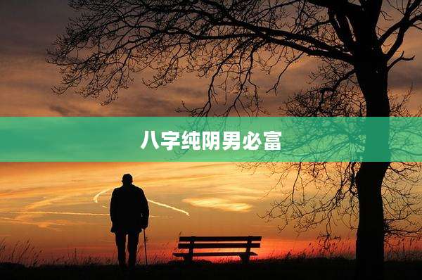 八字纯阴男必富