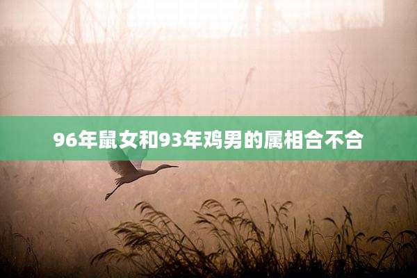 96年鼠女和93年鸡男的属相合不合