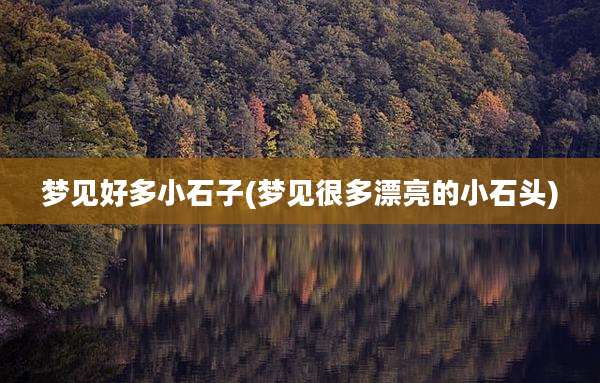 梦见好多小石子(梦见很多漂亮的小石头)