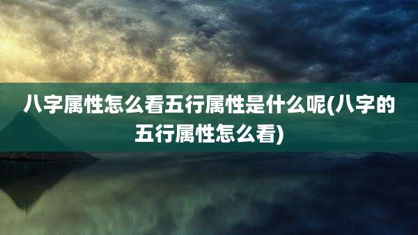 八字属性怎么看五行属性是什么呢(八字的五行属性怎么看)