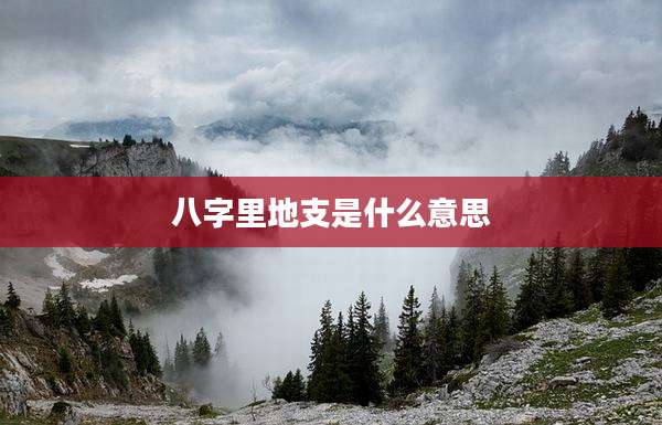 八字里地支是什么意思