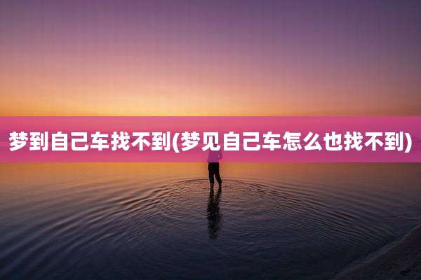 梦到自己车找不到(梦见自己车怎么也找不到)