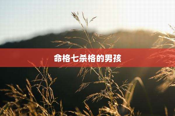 命格七杀格的男孩