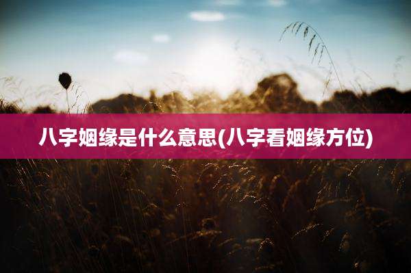 八字姻缘是什么意思(八字看姻缘方位)