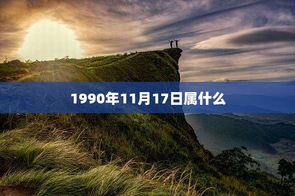 1990年11月17日属什么