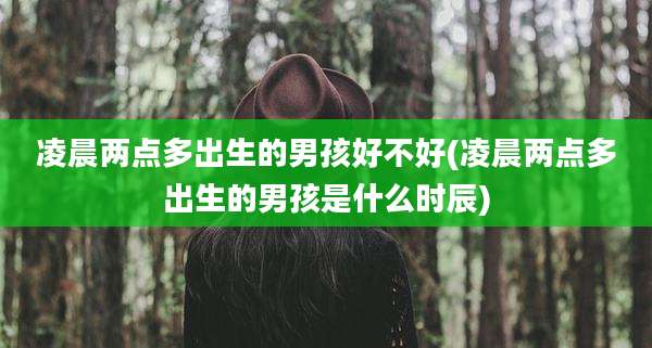 凌晨两点多出生的男孩好不好(凌晨两点多出生的男孩是什么时辰)