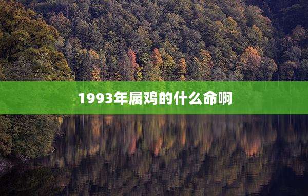1993年属鸡的什么命啊