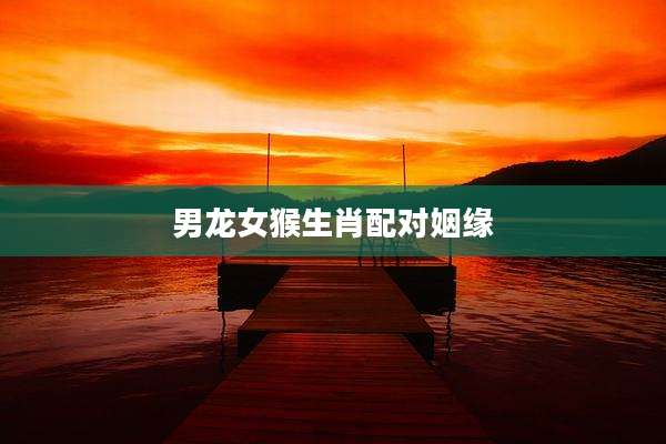 男龙女猴生肖配对姻缘