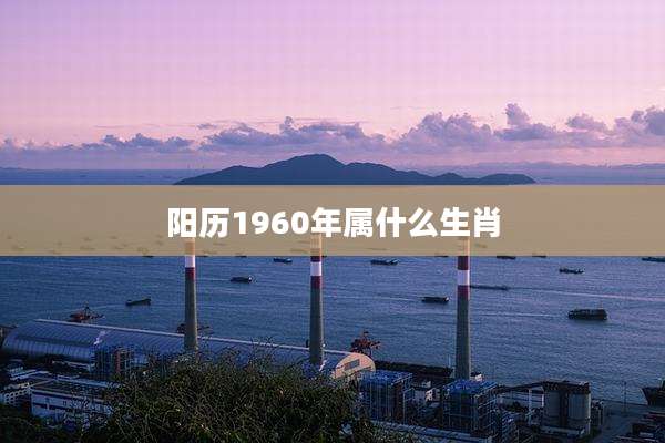 阳历1960年属什么生肖