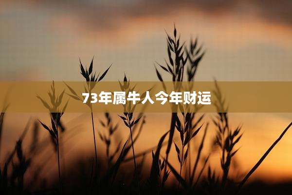 73年属牛人今年财运