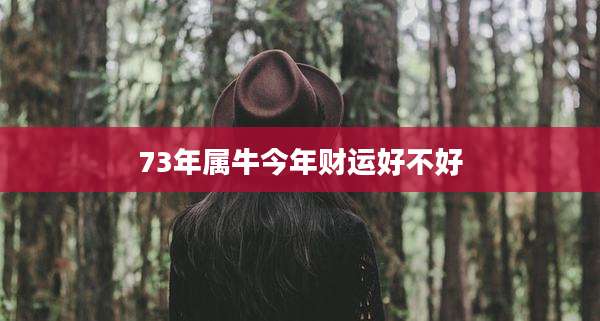 73年属牛今年财运好不好