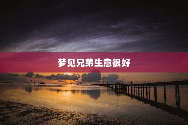 梦见兄弟生意很好
