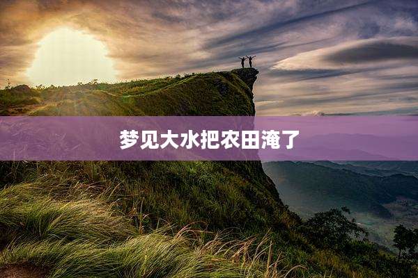 梦见大水把农田淹了