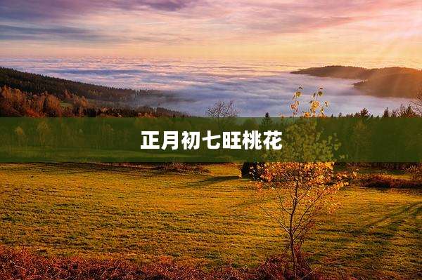 正月初七旺桃花