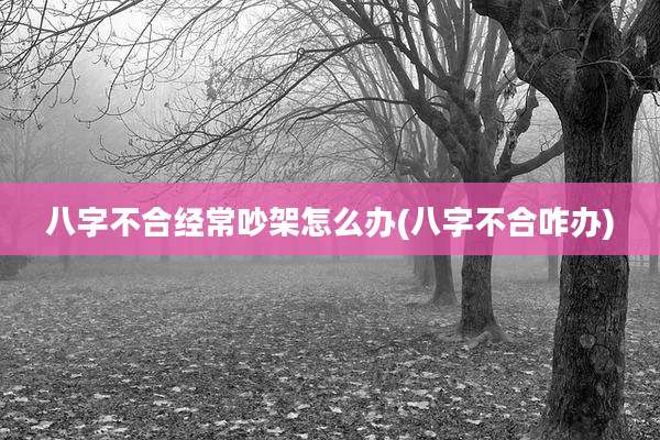 八字不合经常吵架怎么办(八字不合咋办)