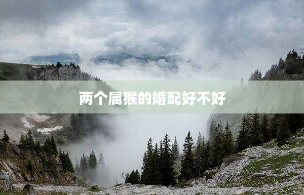 两个属猴的婚配好不好