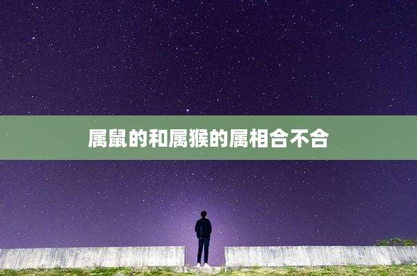 属鼠的和属猴的属相合不合