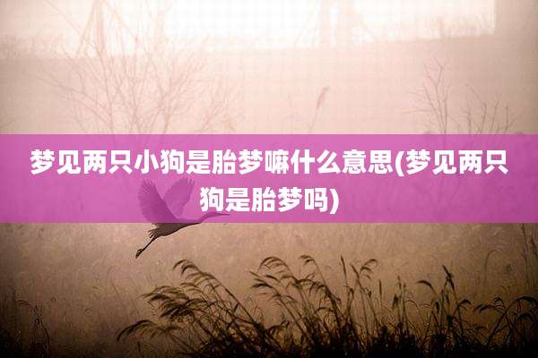 梦见两只小狗是胎梦嘛什么意思(梦见两只狗是胎梦吗)