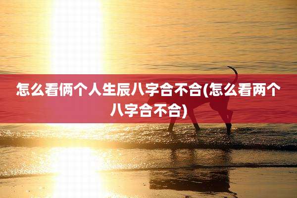 怎么看俩个人生辰八字合不合(怎么看两个八字合不合)