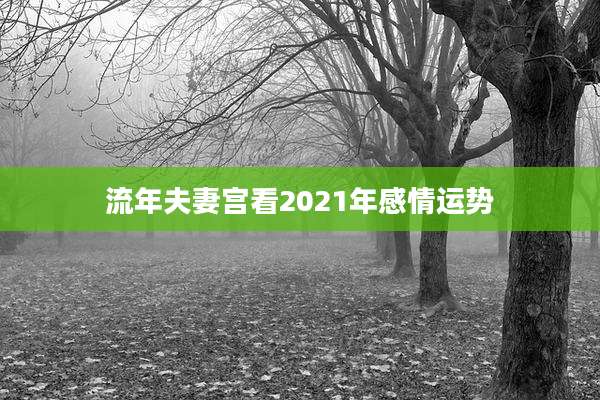 流年夫妻宫看2021年感情运势