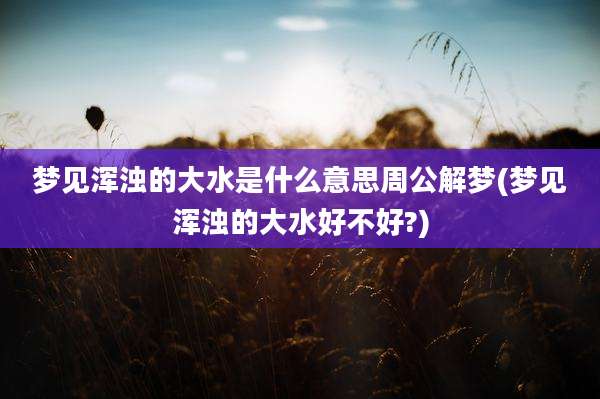 梦见浑浊的大水是什么意思周公解梦(梦见浑浊的大水好不好?)