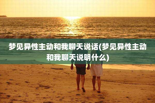 梦见异性主动和我聊天说话(梦见异性主动和我聊天说明什么)