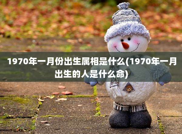 1970年一月份出生属相是什么(1970年一月出生的人是什么命)