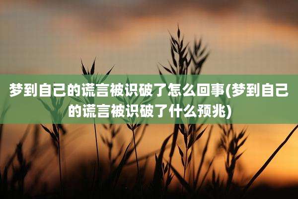 梦到自己的谎言被识破了怎么回事(梦到自己的谎言被识破了什么预兆)