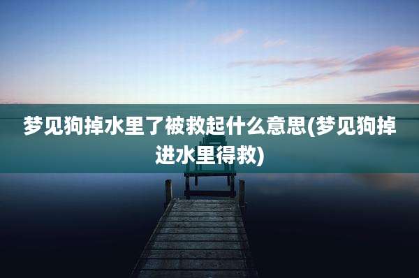 梦见狗掉水里了被救起什么意思(梦见狗掉进水里得救)