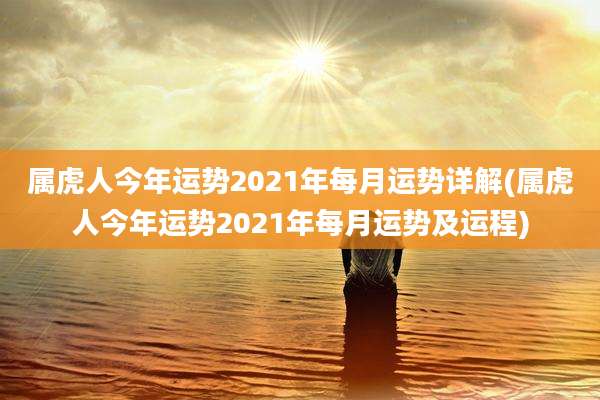 属虎人今年运势2021年每月运势详解(属虎人今年运势2021年每月运势及运程)