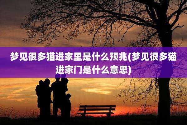 梦见很多猫进家里是什么预兆(梦见很多猫进家门是什么意思)