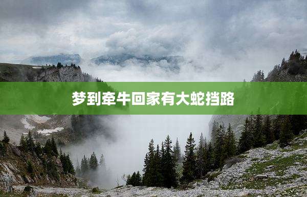 梦到牵牛回家有大蛇挡路