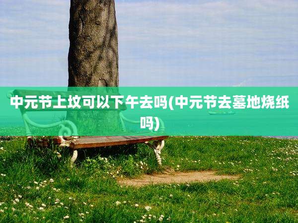 中元节上坟可以下午去吗(中元节去墓地烧纸吗)