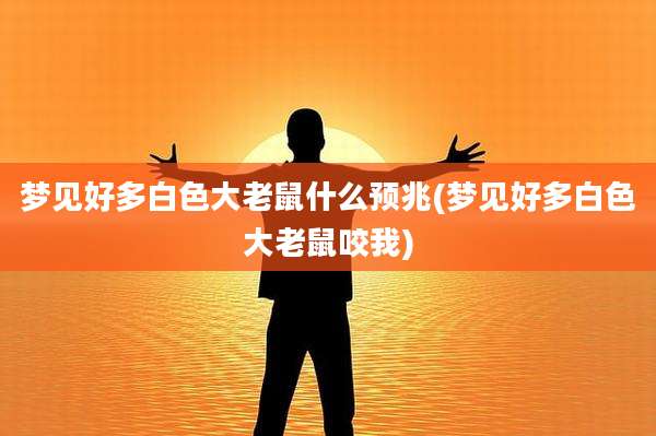 梦见好多白色大老鼠什么预兆(梦见好多白色大老鼠咬我)