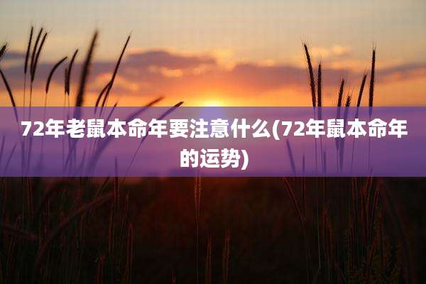 72年老鼠本命年要注意什么(72年鼠本命年的运势)