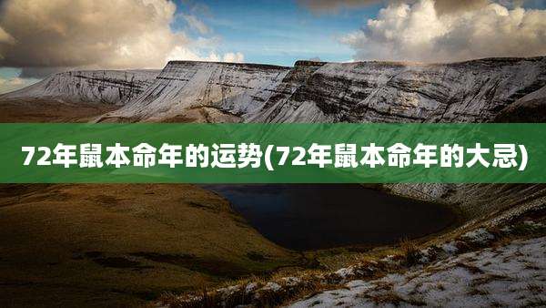 72年鼠本命年的运势(72年鼠本命年的大忌)