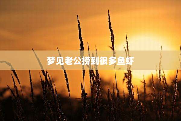 梦见老公捞到很多鱼虾