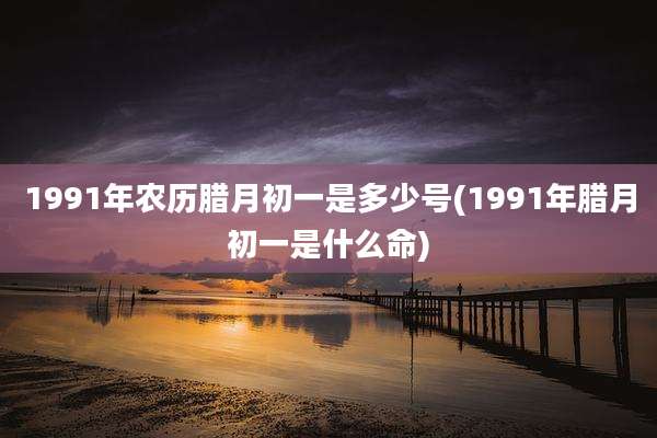 1991年农历腊月初一是多少号(1991年腊月初一是什么命)