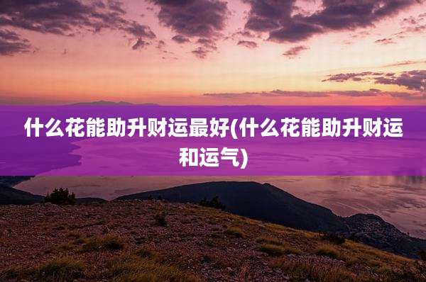 什么花能助升财运最好(什么花能助升财运和运气)