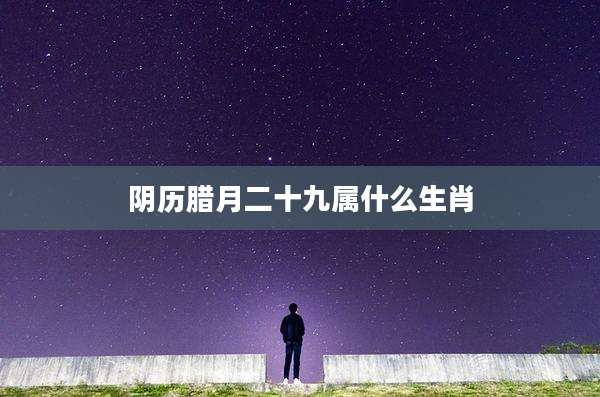 阴历腊月二十九属什么生肖