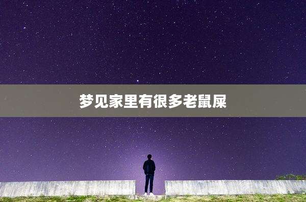 梦见家里有很多老鼠屎
