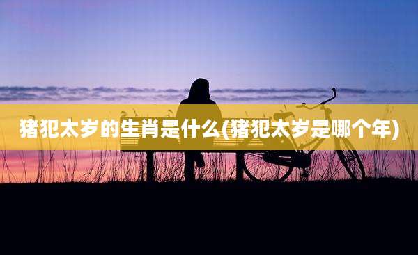 猪犯太岁的生肖是什么(猪犯太岁是哪个年)