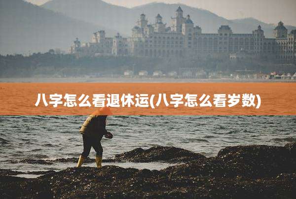 八字怎么看退休运(八字怎么看岁数)