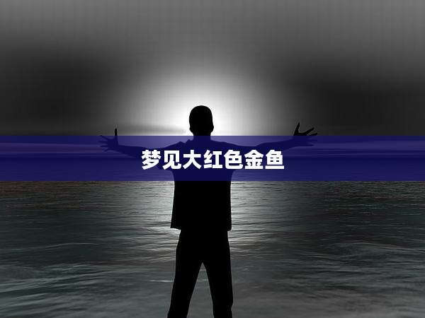 梦见大红色金鱼
