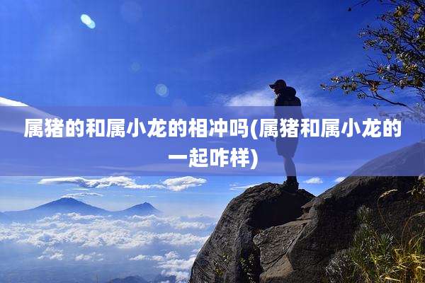 属猪的和属小龙的相冲吗(属猪和属小龙的一起咋样)