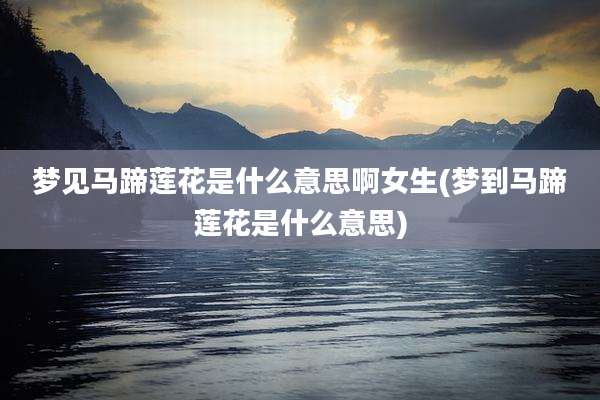 梦见马蹄莲花是什么意思啊女生(梦到马蹄莲花是什么意思)
