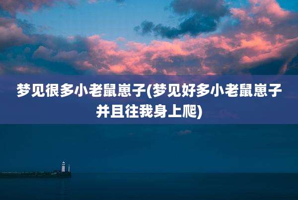 梦见很多小老鼠崽子(梦见好多小老鼠崽子并且往我身上爬)