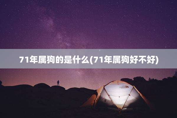 71年属狗的是什么(71年属狗好不好)